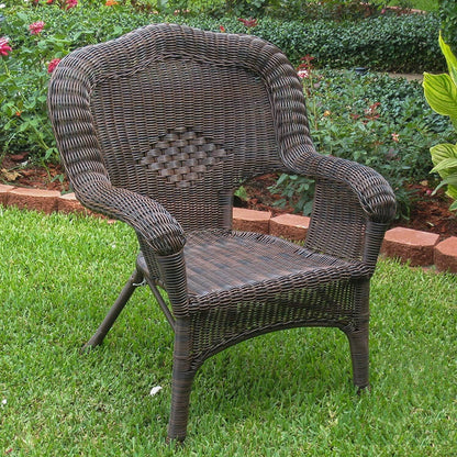 Camelback Resin Wicker Patio Chairs (Set of 2)