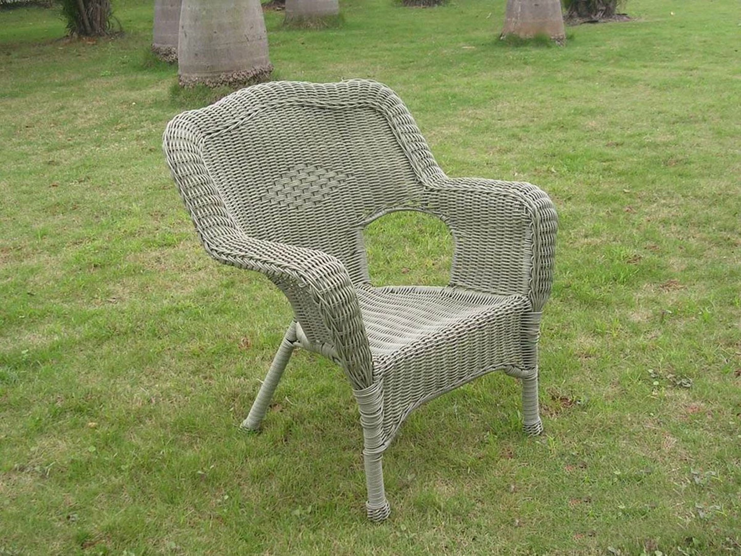 Camelback Resin Wicker Patio Chairs (Set of 2)