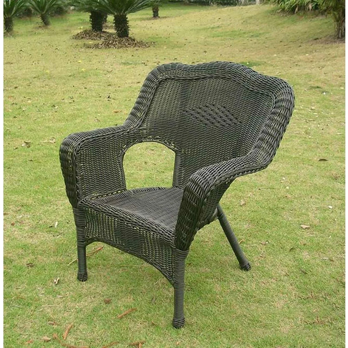 Camelback Resin Wicker Patio Chairs (Set of 2)