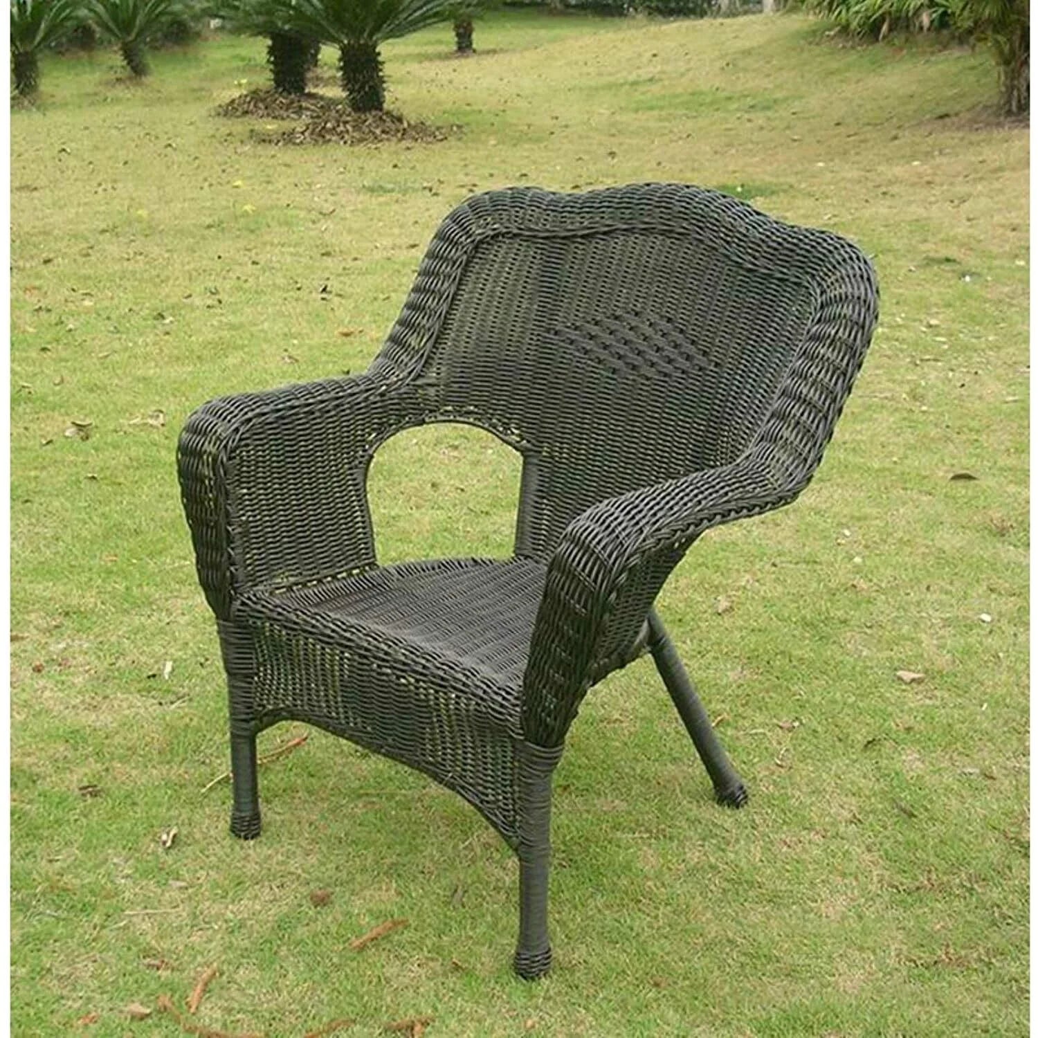 Camelback Resin Wicker Patio Chairs (Set of 2)