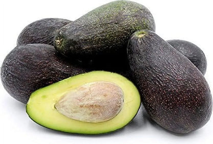 Avocado Tree - Live Tree in a 3 Gallon Pot - Grower's Choice Based on Season and Availability - Fruit Tree for Patio and Garden