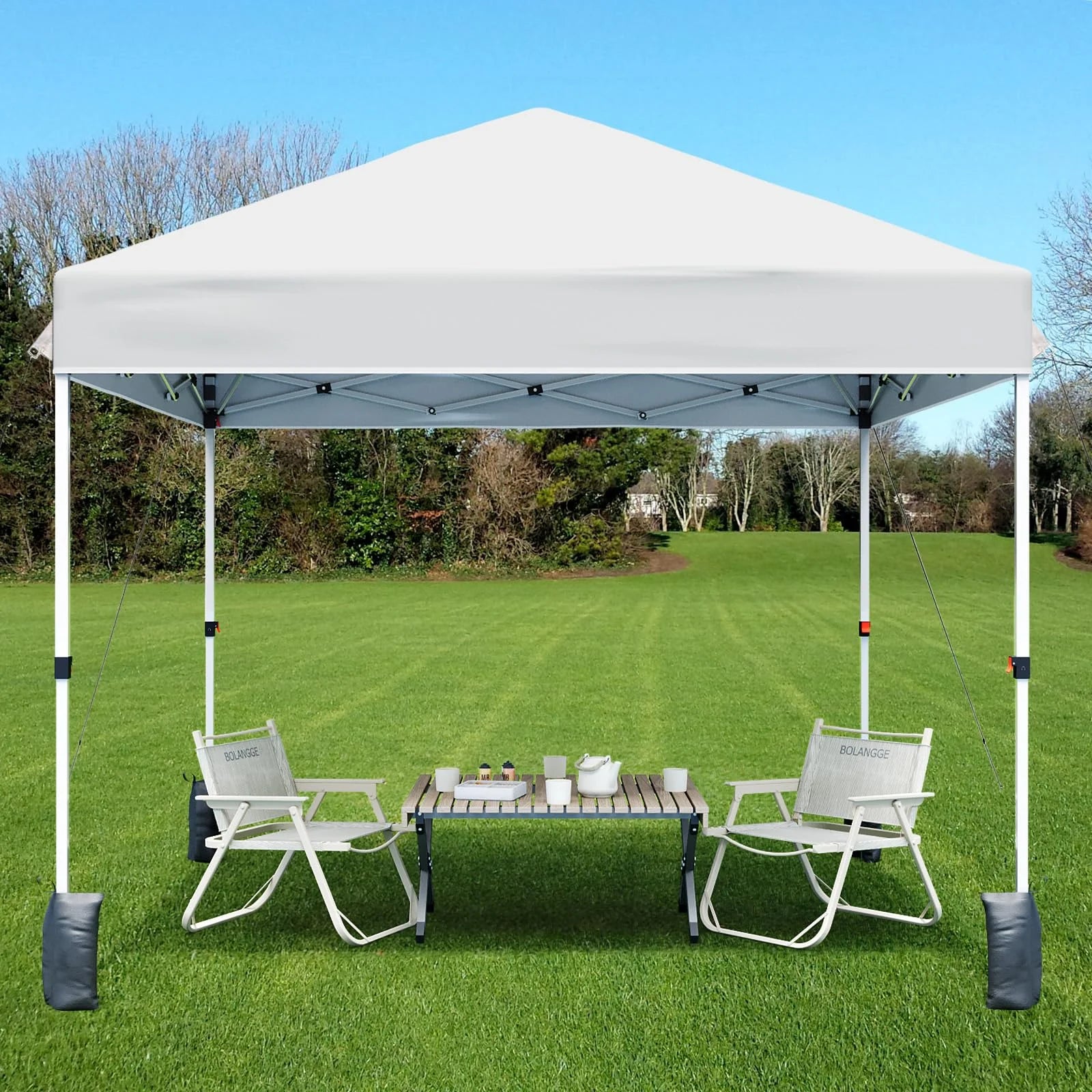 Luku 10x10ft Instant Pop-Up Canopy Tent with Patented Center Lock System, Portable Wheeled Carry Bag, Adjustable Height Straight Legs for Outdoor, Garden, Market, Patio, Yard