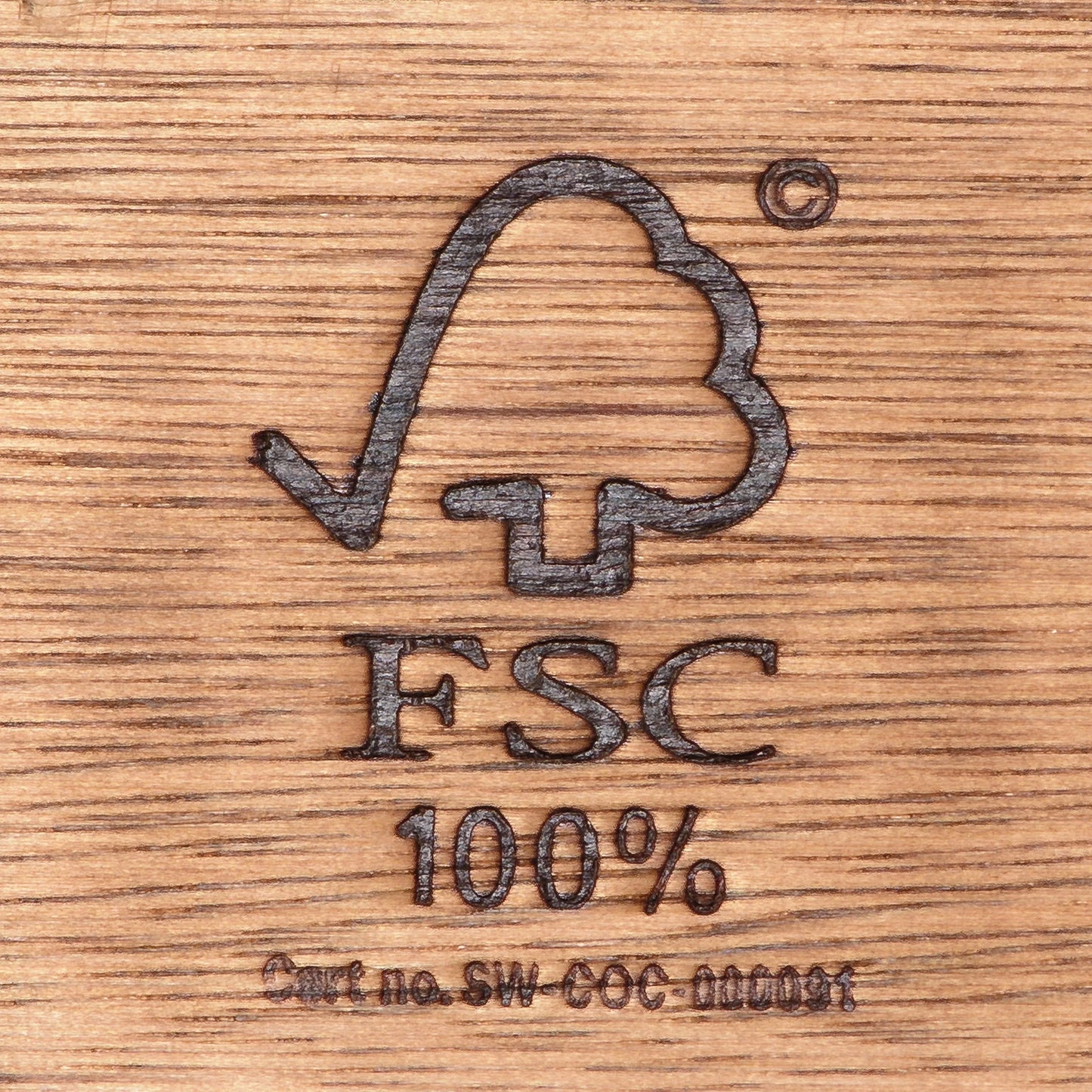 Amazonia Oceanfront 9-Piece Teak Wood 100% FSC Patio Dining Set