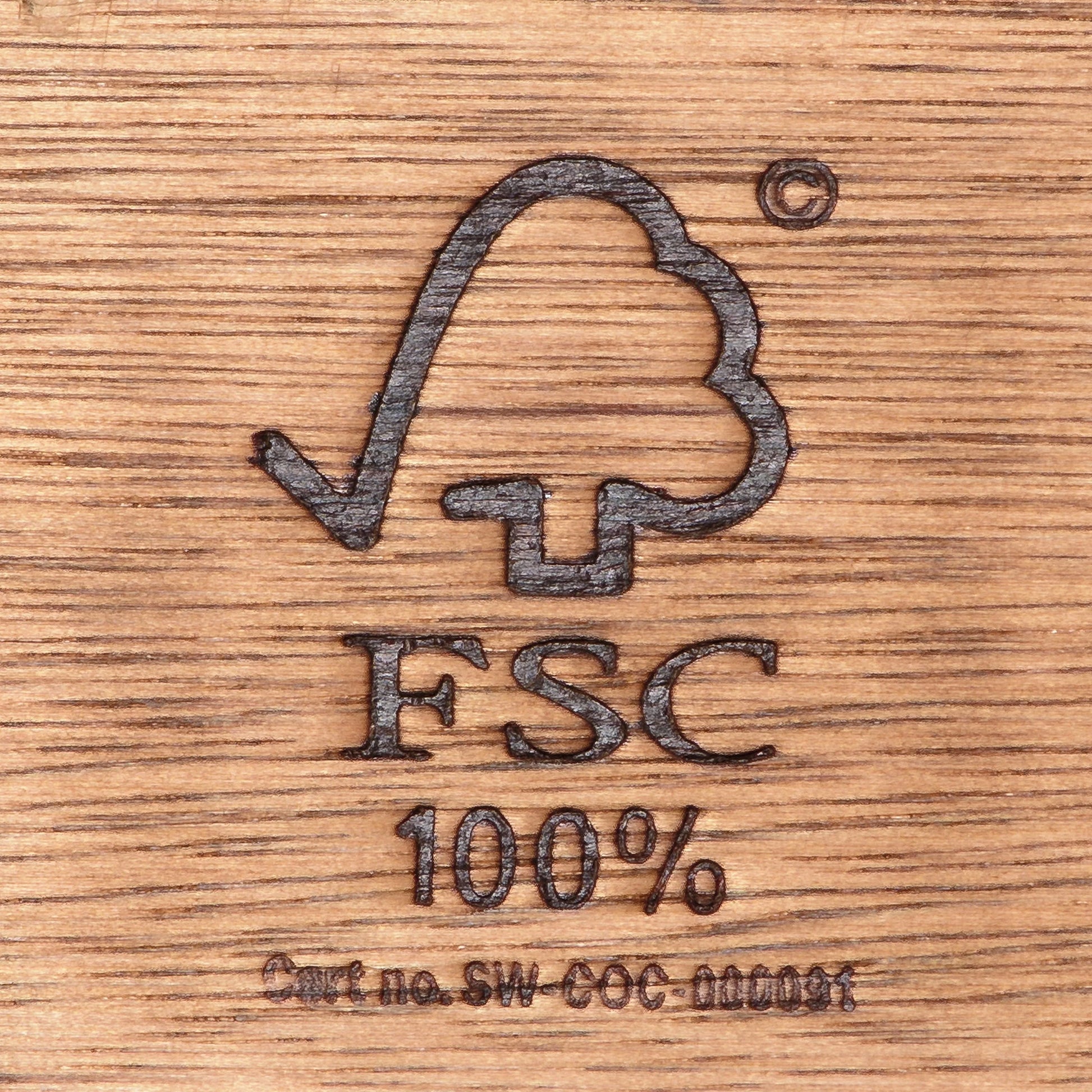 Amazonia Oceanfront 9-Piece Teak Wood 100% FSC Patio Dining Set