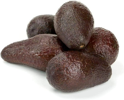Avocado Tree - Live Tree in a 3 Gallon Pot - Grower's Choice Based on Season and Availability - Fruit Tree for Patio and Garden