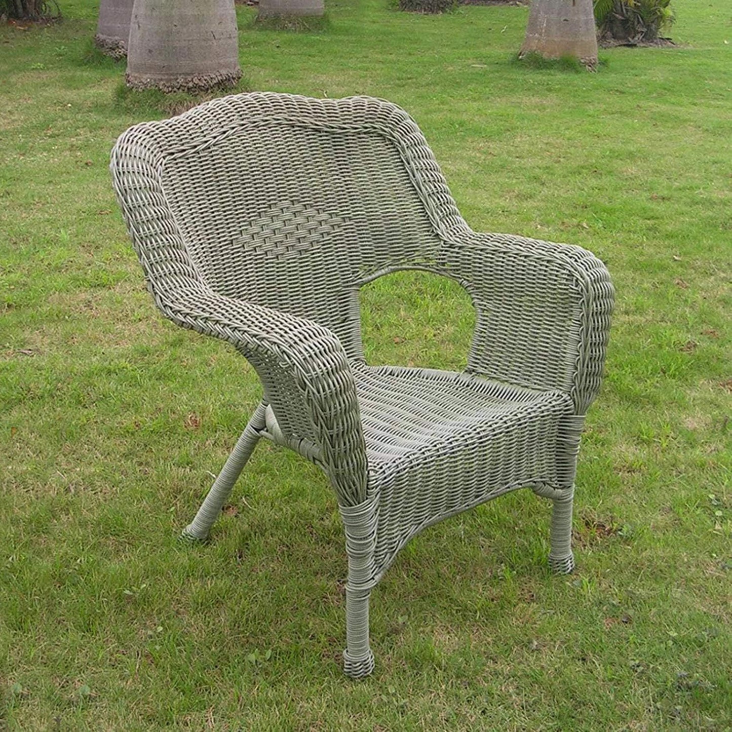 Camelback Resin Wicker Patio Chairs (Set of 2)