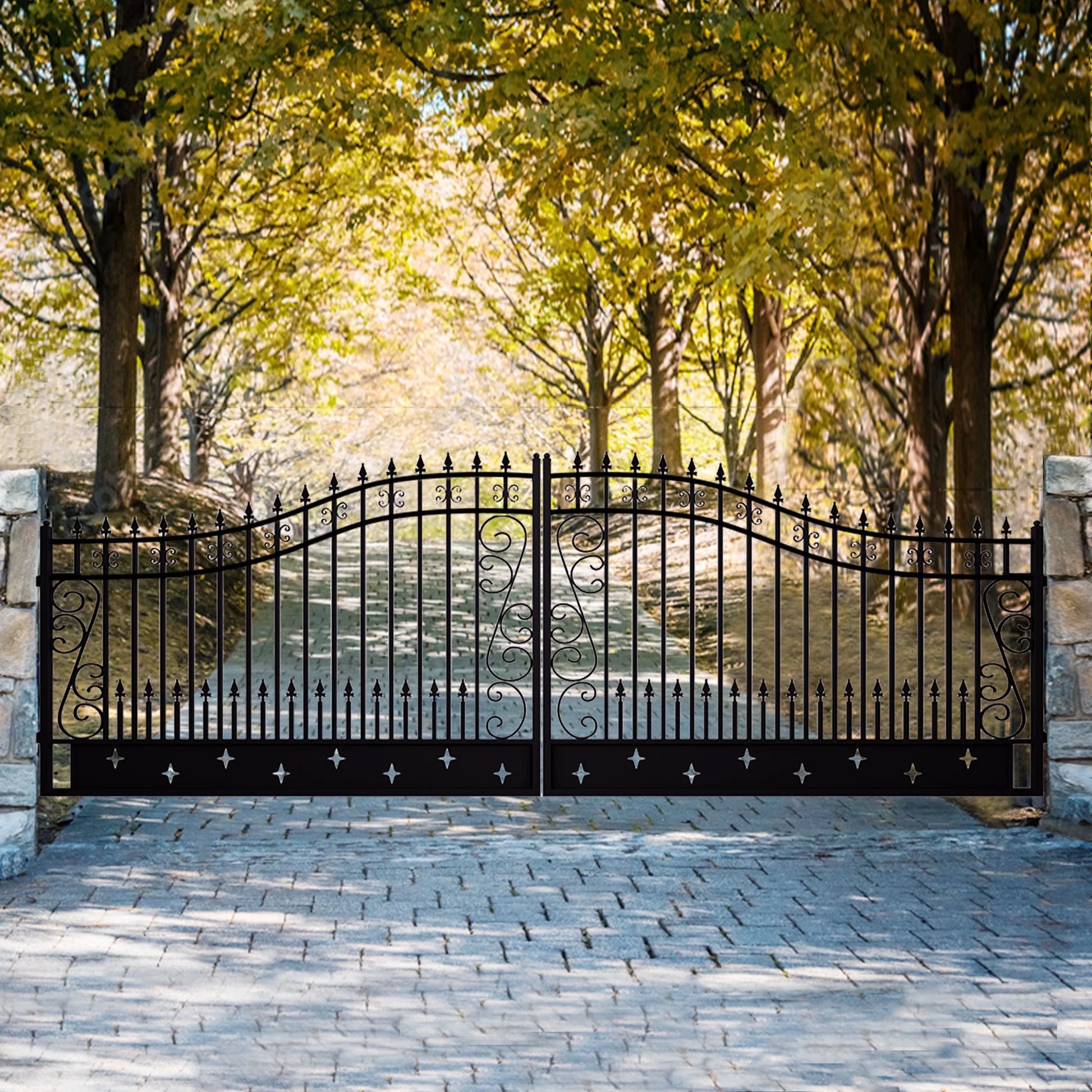 Outdoor Dual Swing Wrought Iron Gate for Driveway, Security Gate, Outdoor Fence Gate, Vienna Style for Yard, Backyard Patio 20'Star
