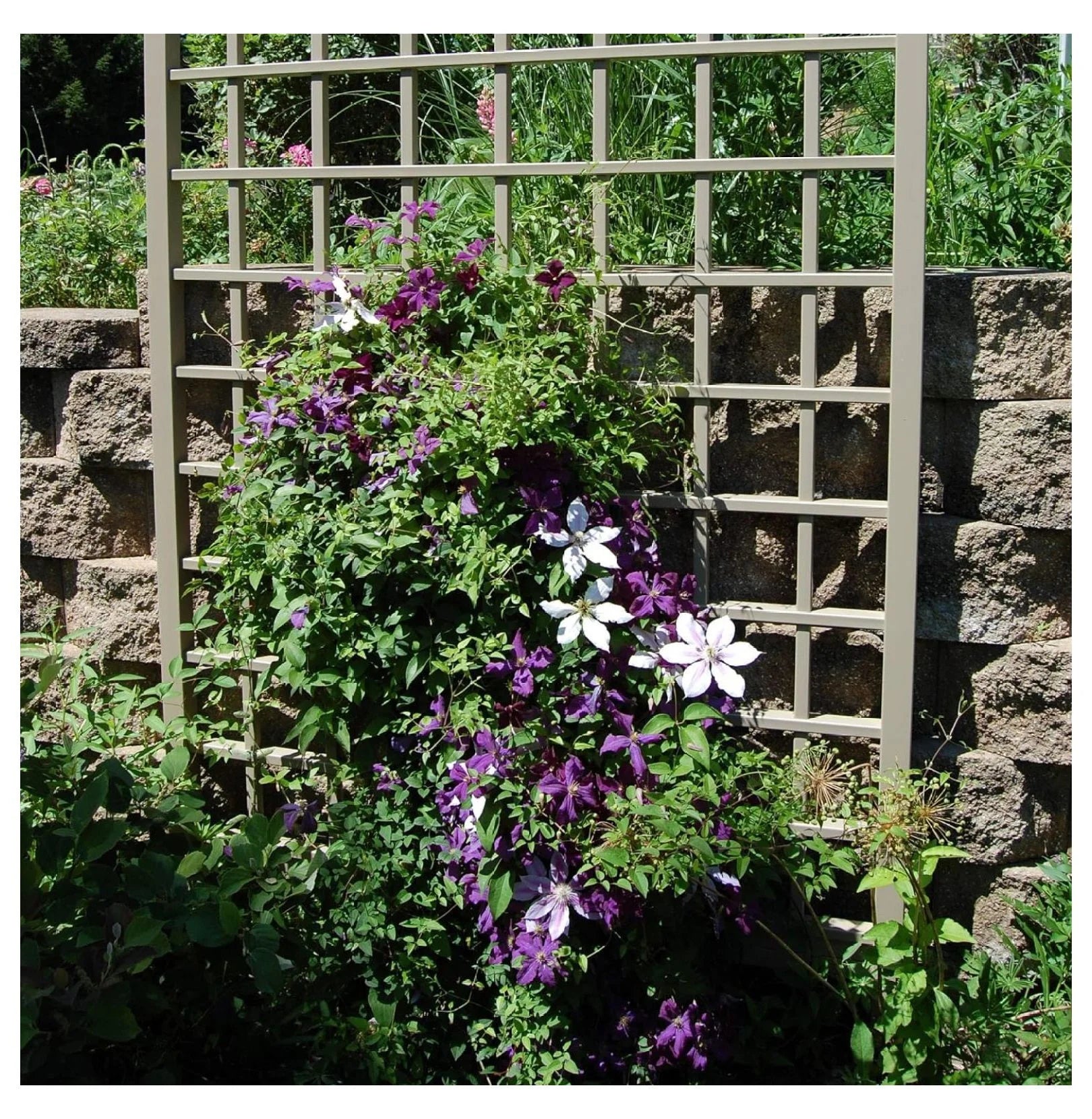 Dura-Trel Cambridge 57 by 95 Inch Heavy Duty Weather Stabilized PVC Vinyl Outdoor Garden Patio Trellis with Wall Mounting Screws and Spacers, Mocha
