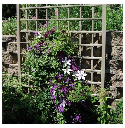 Dura-Trel Cambridge 57 by 95 Inch Heavy Duty Weather Stabilized PVC Vinyl Outdoor Garden Patio Trellis with Wall Mounting Screws and Spacers, Mocha