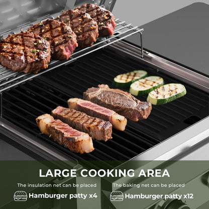 WAA Propane Gas Grill with 2-Burner,Outdoor Gas BBQ Grill with Side Storage Shelves,Top Cover Lid, Oil Tray,Wheels,Barbeque Stove for Barbecue Cooking,Patio,Camping and Party,16000 BTU