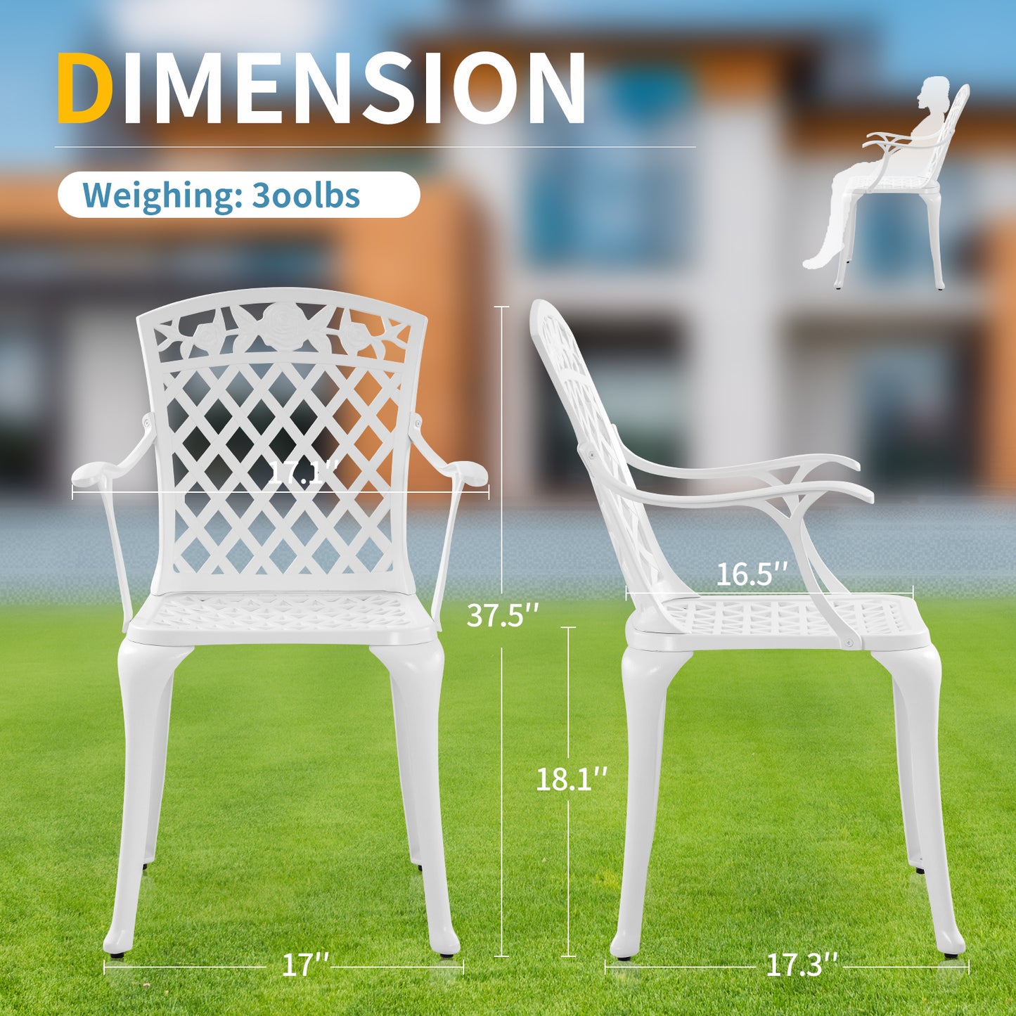 Withniture Cast Aluminum Patio Furniture Outdoor Chairs Patio Bistro Chair Set of 2 with Armrest, Metal Chair for Garden, White